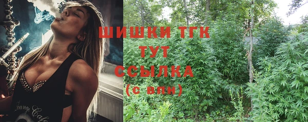 метадон Дмитриев