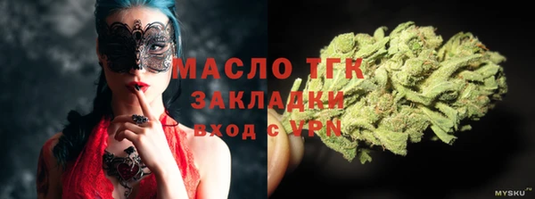 стаф Дмитров