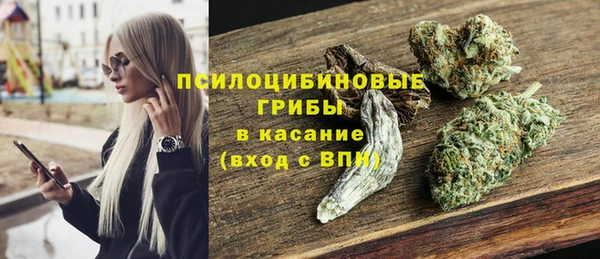 кокс Елизово