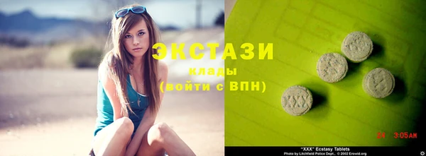 спиды Ельня