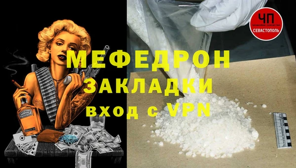 спиды Ельня