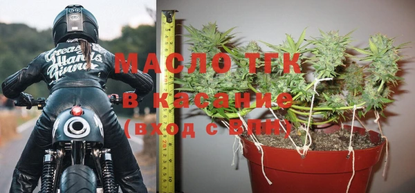спиды Ельня