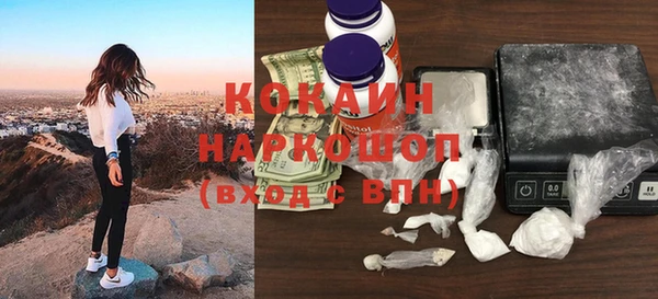 кокс Елизово
