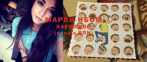 спиды Ельня