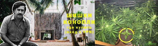 кокс Елизово