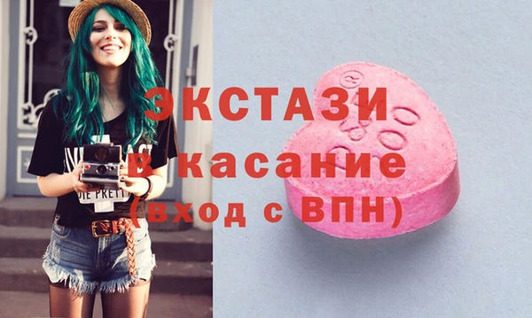 спиды Ельня