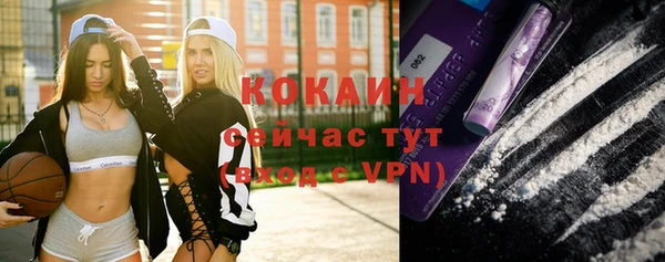 спиды Ельня