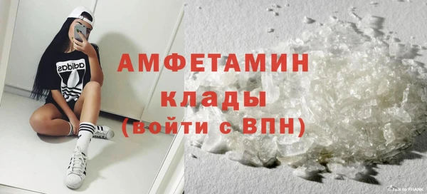 спиды Ельня