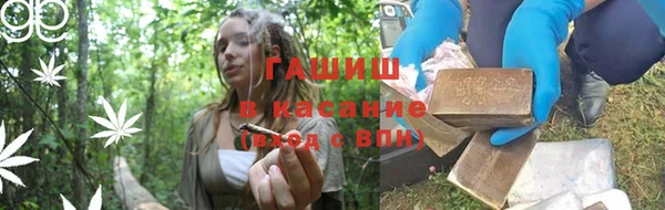 спиды Ельня