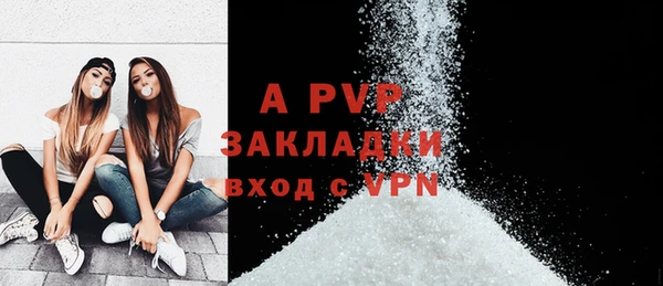 кокс Елизово
