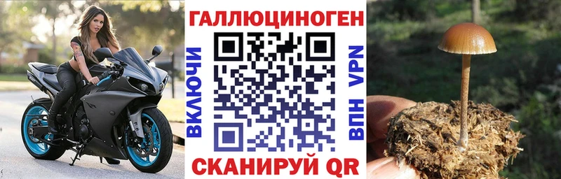 Галлюциногенные грибы прущие грибы  Купить где  Буйнакск 